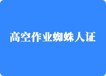 免费看日逼视频高空作业蜘蛛人证